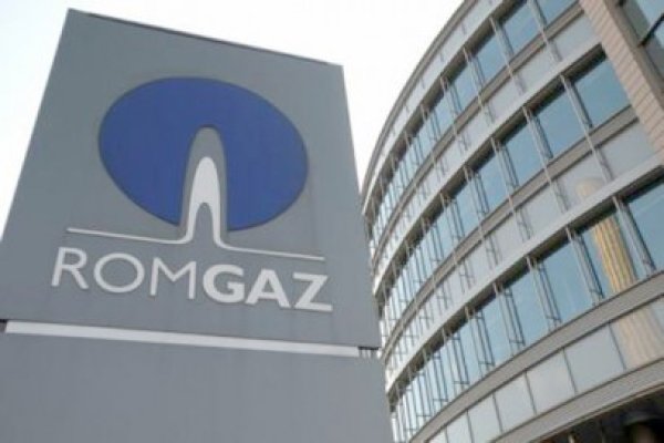 Vot împotriva bonusurilor pentru conducerile Romgaz şi Nuclearelectrica